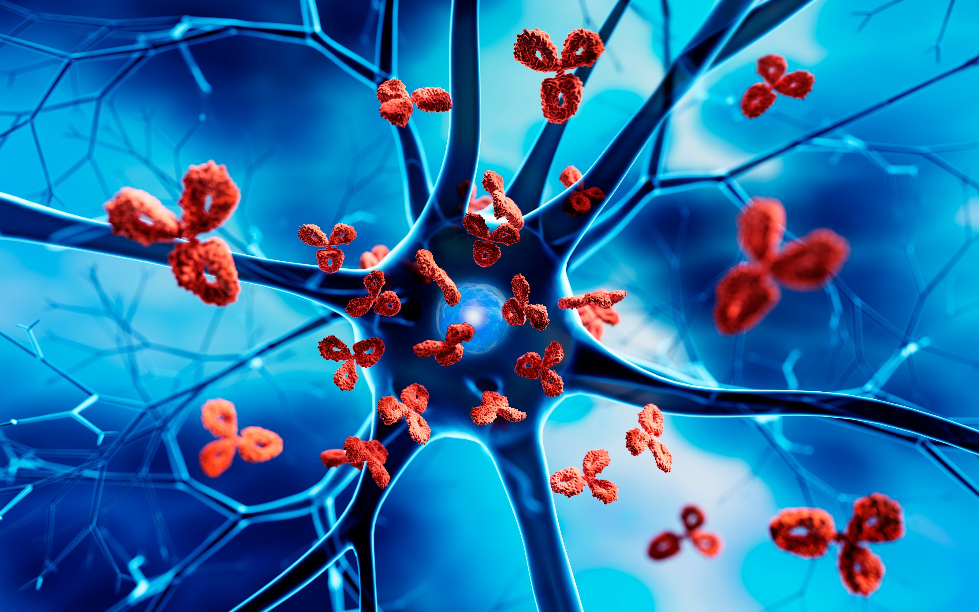 Apoptosis Implication in Autoimmune Disease